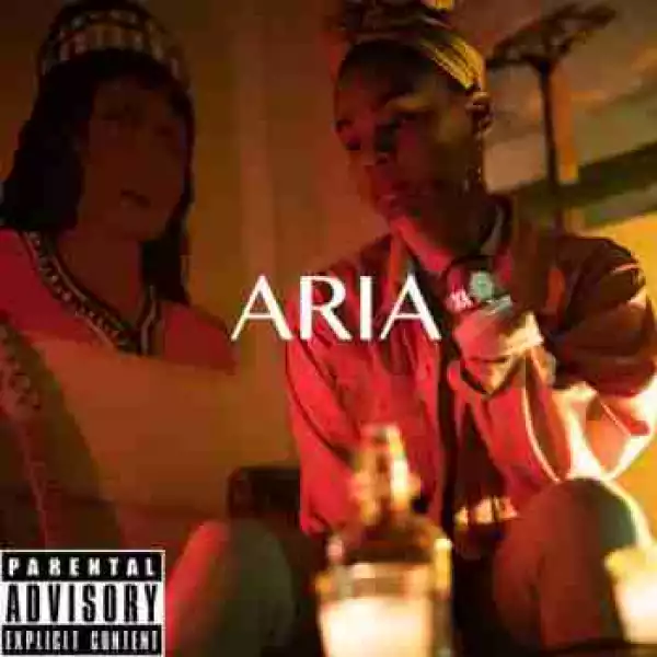 Aria BY Larrenwong X Solo Aria